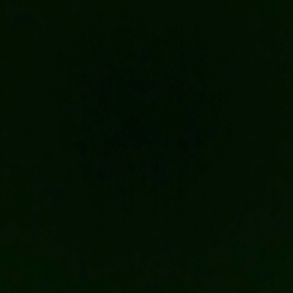 Meet your Posher, Cuzzoo - Picture 1 of 1